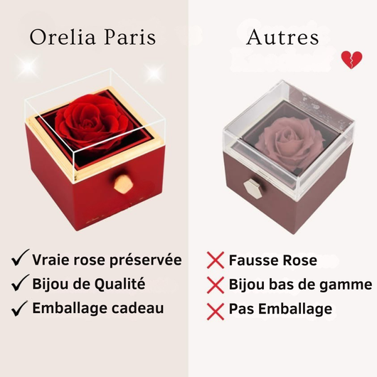 Coffret Rose Éternelle & Collier Personnalisé