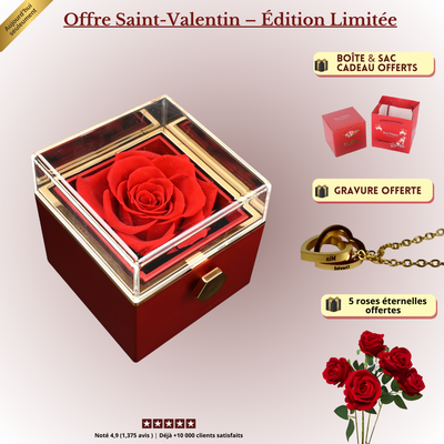 Coffret Vraie Rose Éternelle & Collier Gravé